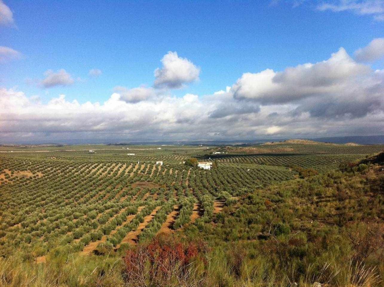 La Cateta Country house Mancha Real