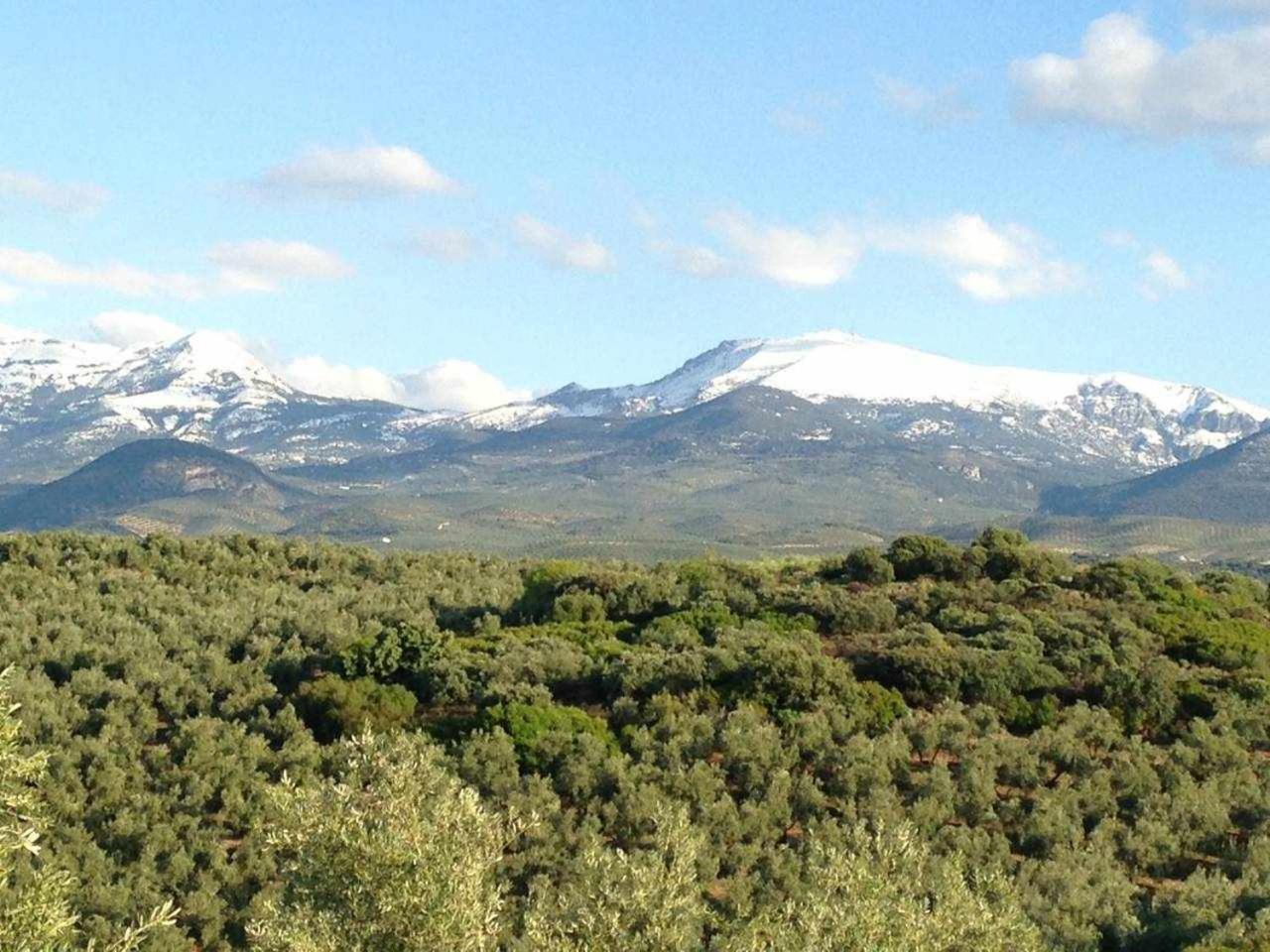 La Cateta *