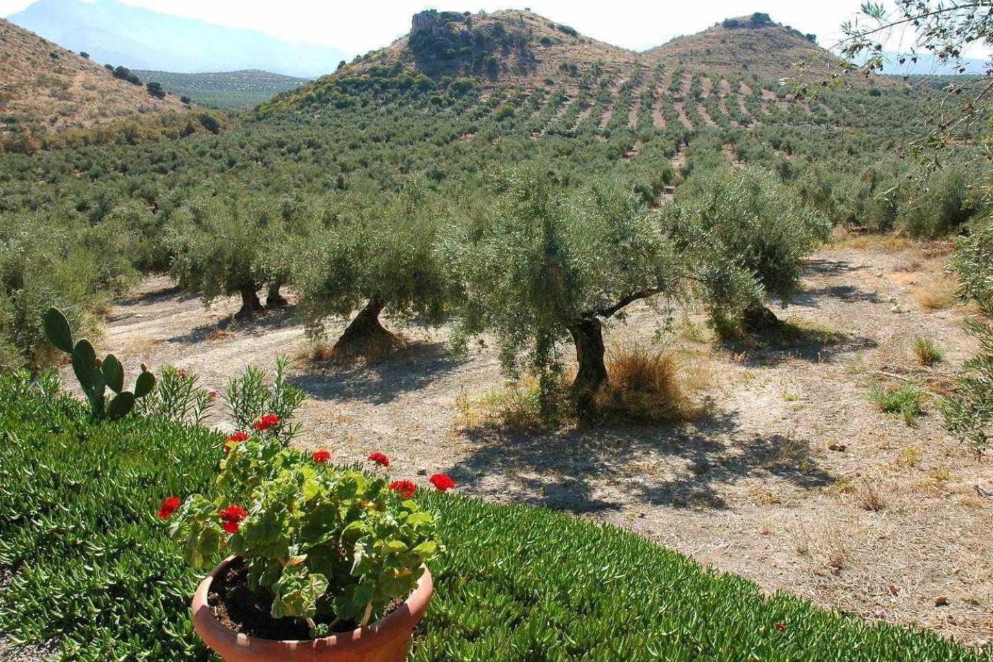 La Cateta Country house *